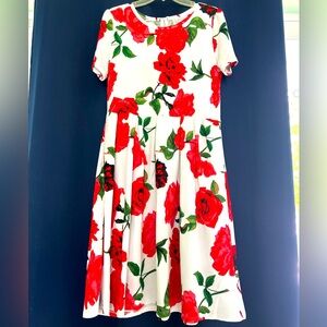 Lularoe Floral Red and White Dress
